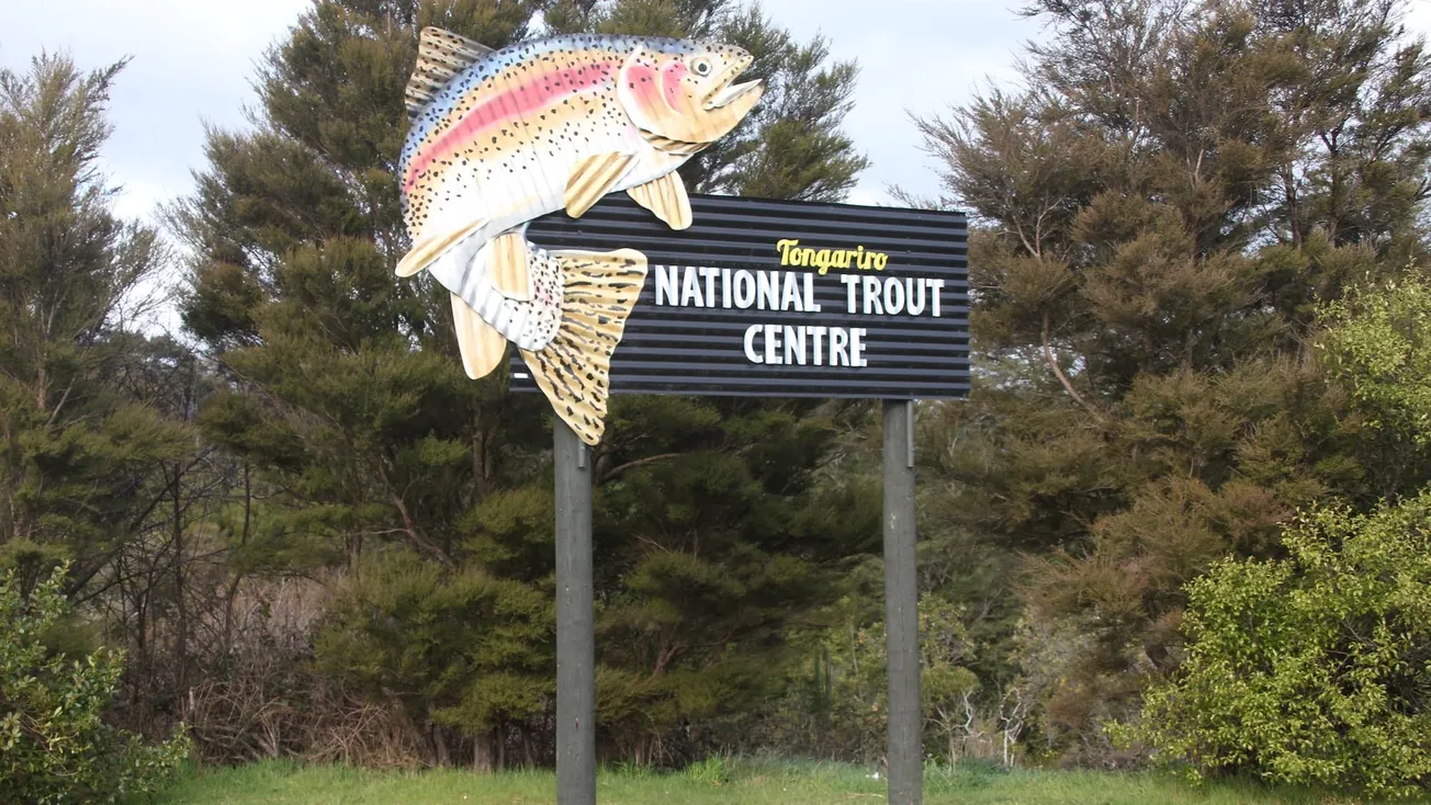 National Trout Centre