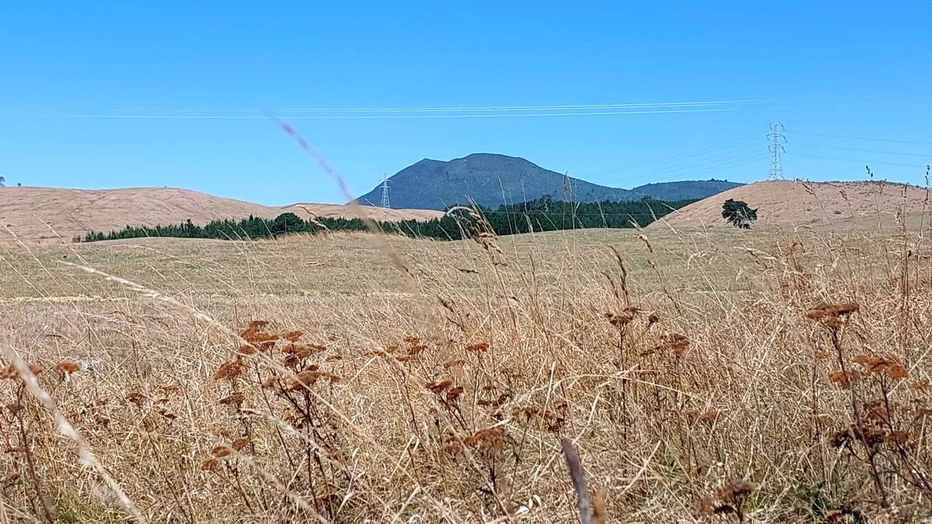 Broadlands Road - Taupō Drought 2025