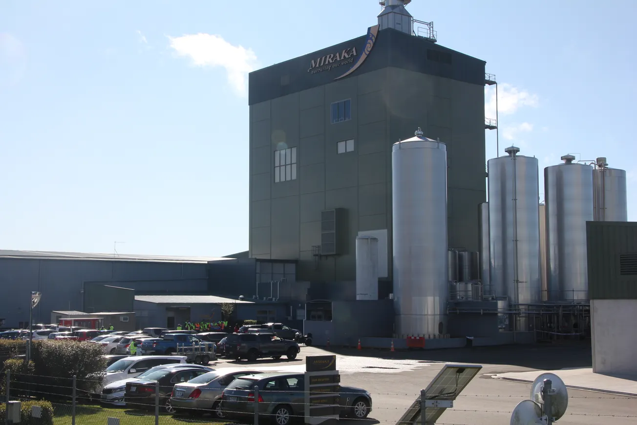 Miraka announces opening price forecast for suppliers