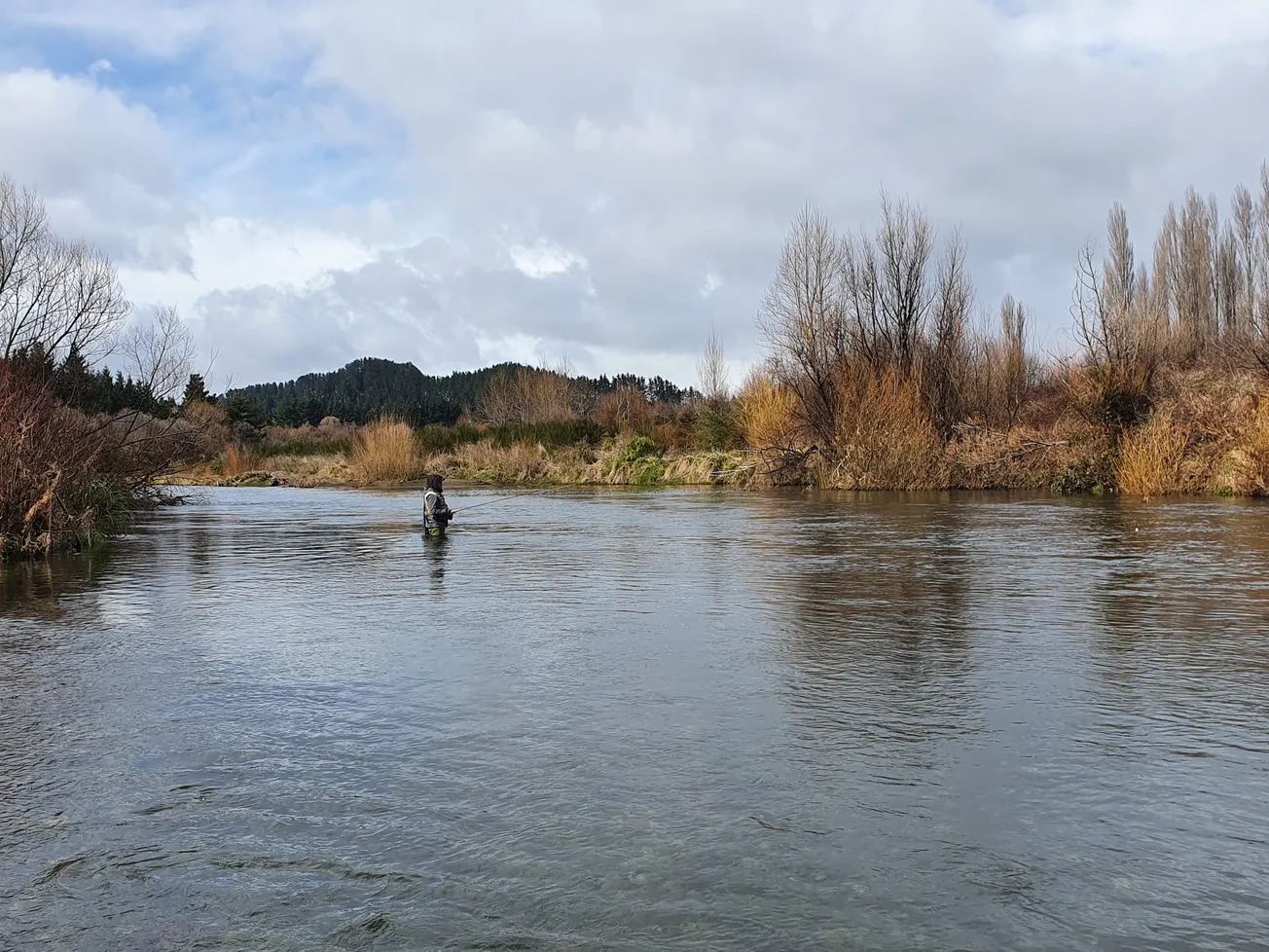 Online only system goes live for fishing licences