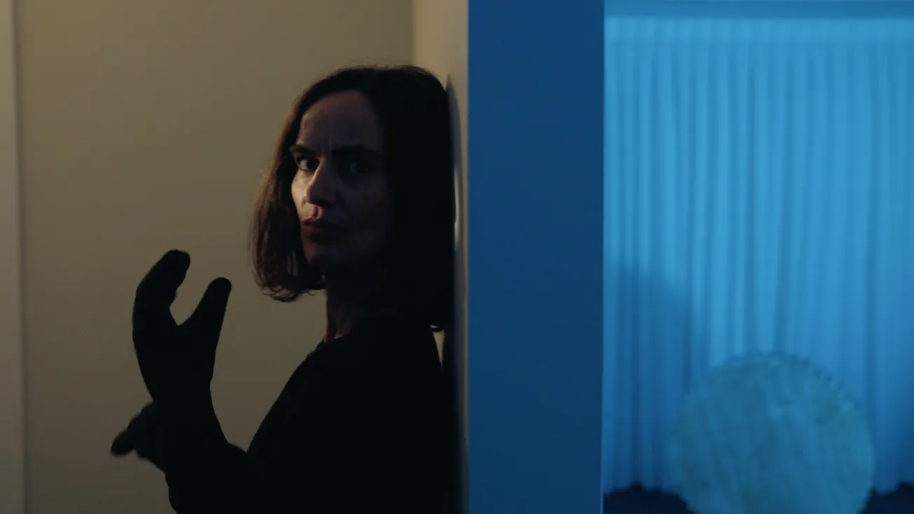 Great Lake Film Society wins regional final