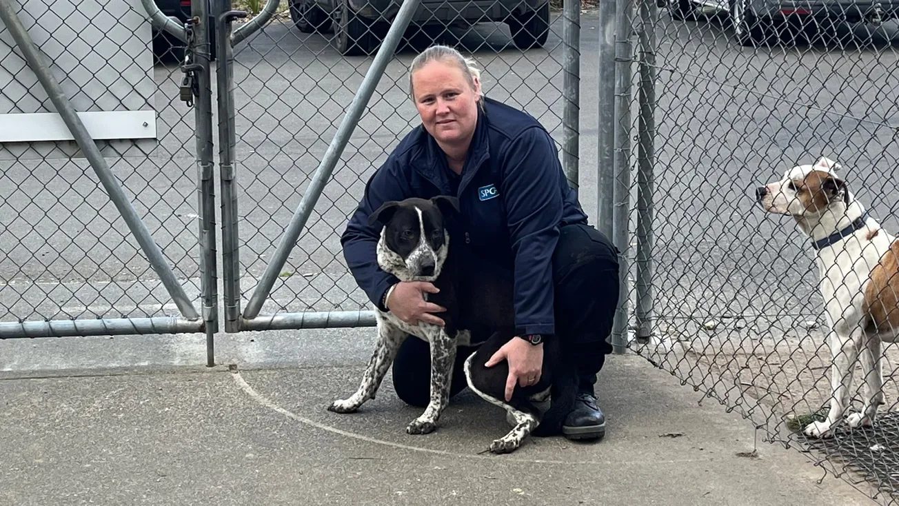 Taupō SPCA seeks homes for long stay campaign