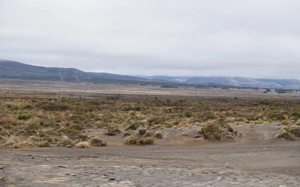 Three dead, one missing after Desert Road crash