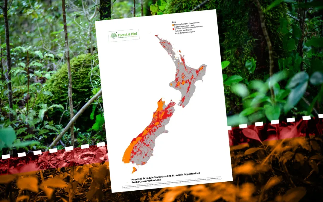 Maps reveal where conservation land could be sold off after government reforms