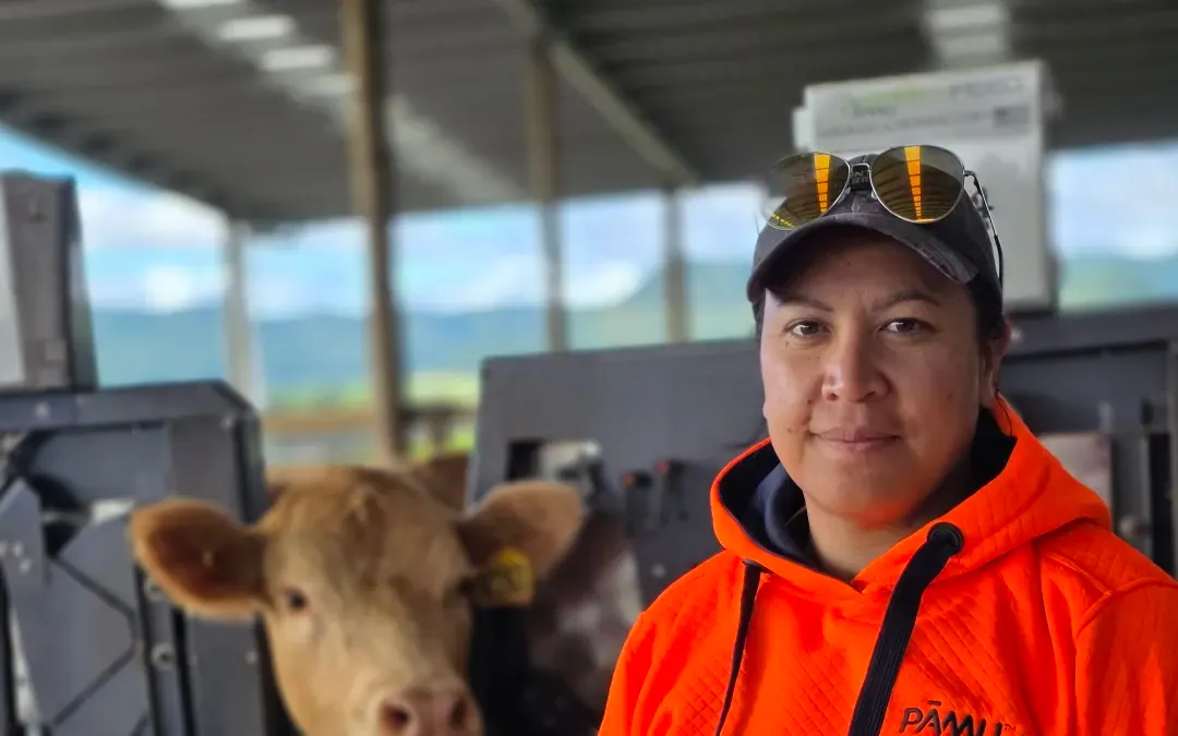 Country Life: Inside Pāmu's methane measurement barn